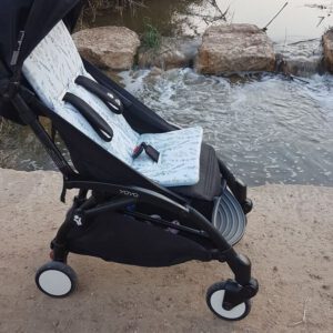 אקליפטוס / פיקה תכלת